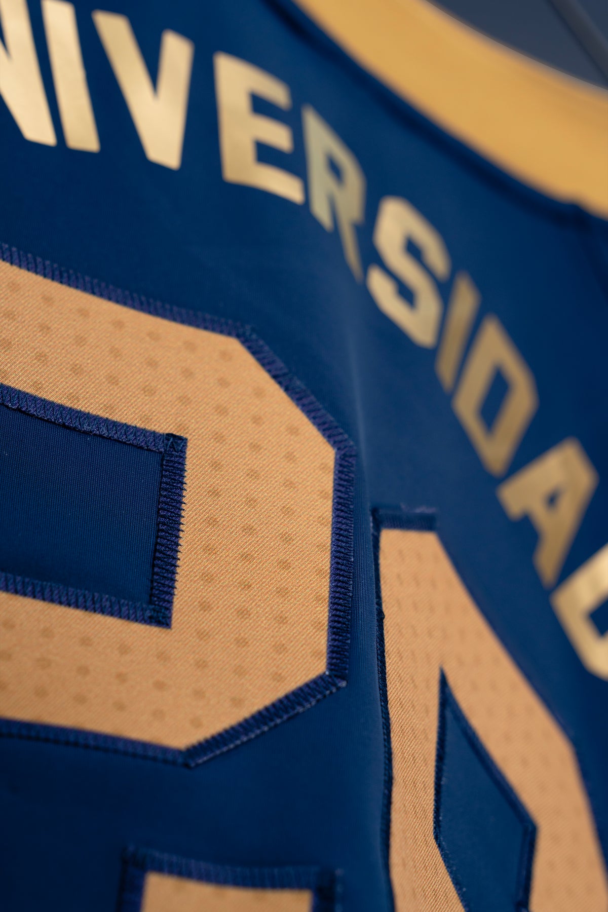 JERSEY FAN PUMAS CU 2026 AZUL